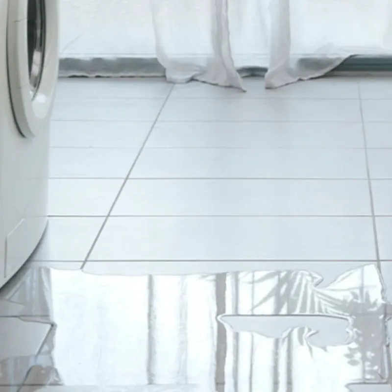 Appliance Leak Cleanup in Grantville, GA