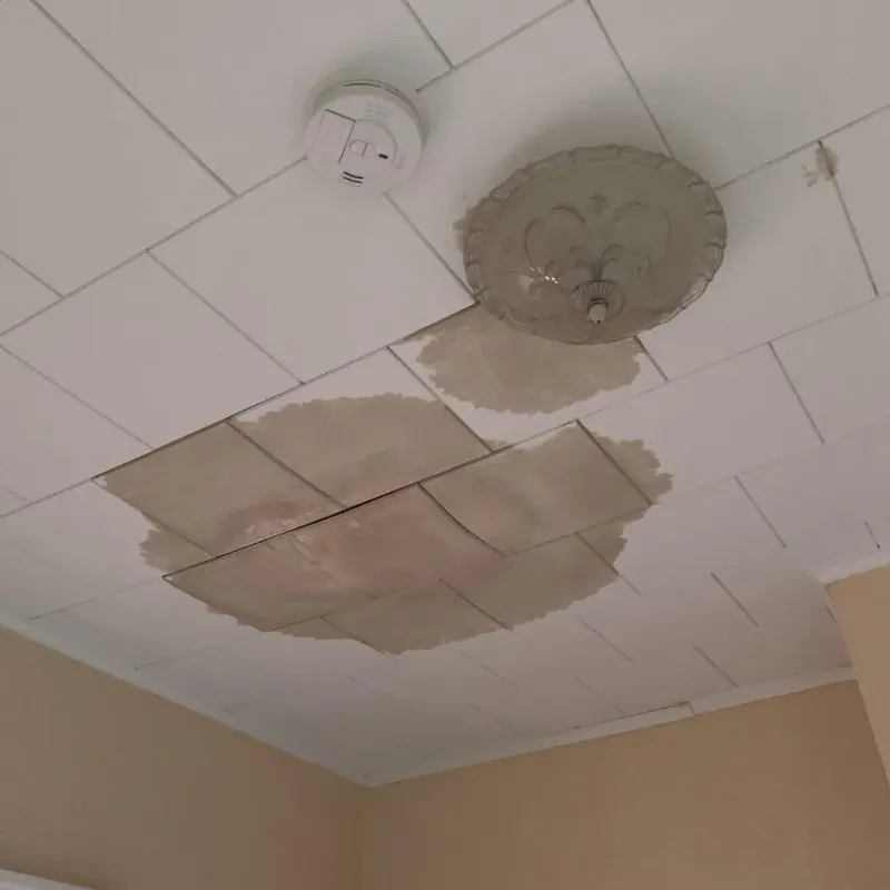 Ceiling Water Damage Repair in Grantville, GA