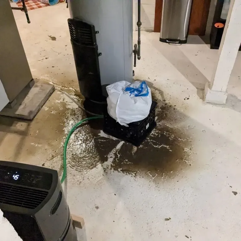 Sewage Backup Cleanup Service in Grantville, GA
